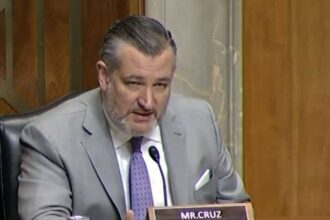 السيناتور كروز يدعو لتصنيف البوليساريو منظمة إرهابية بسبب تعاونها بالإيرانيين