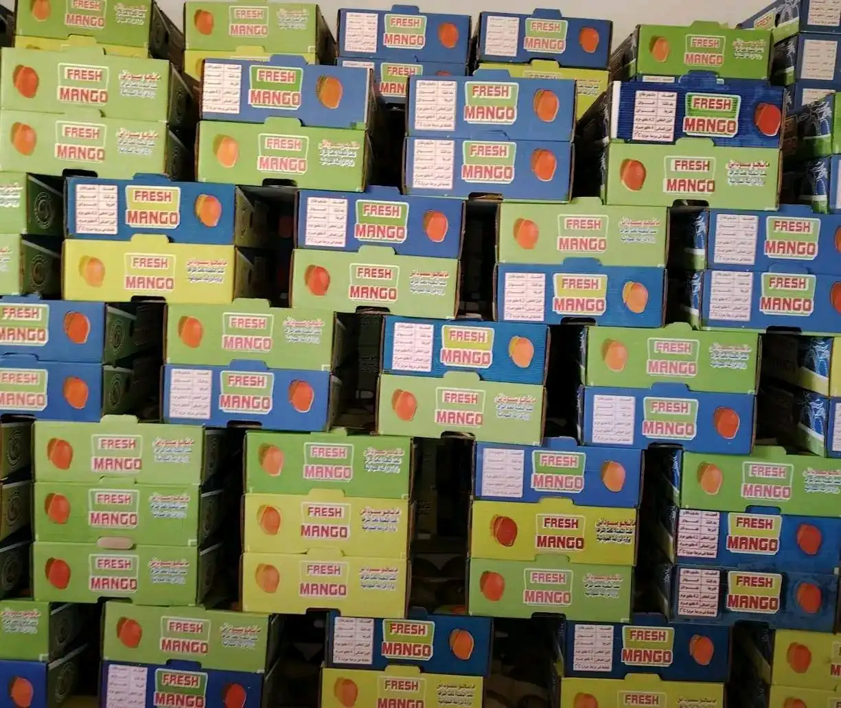 سنار تعلن تصدير أول راد مانجو إلى الأردن