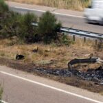 جوتا وشقيقه سيلفا: المحكمة العليا تقرر عدم اتخاذ إجراءات جنائية بعد حادث السيارة المميت في إسبانيا