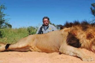 وفاة صياد أميركي بـ 75 عاماً بعد هجوم أفيال في الغابون