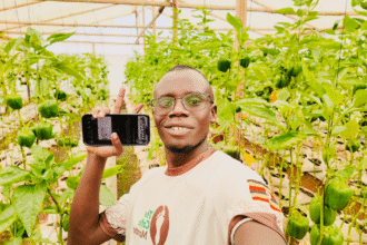 خدمات الهاتف المحمول تغير حياة الفقراء والمزارعين في أفريقيا وتسهم في النمو.