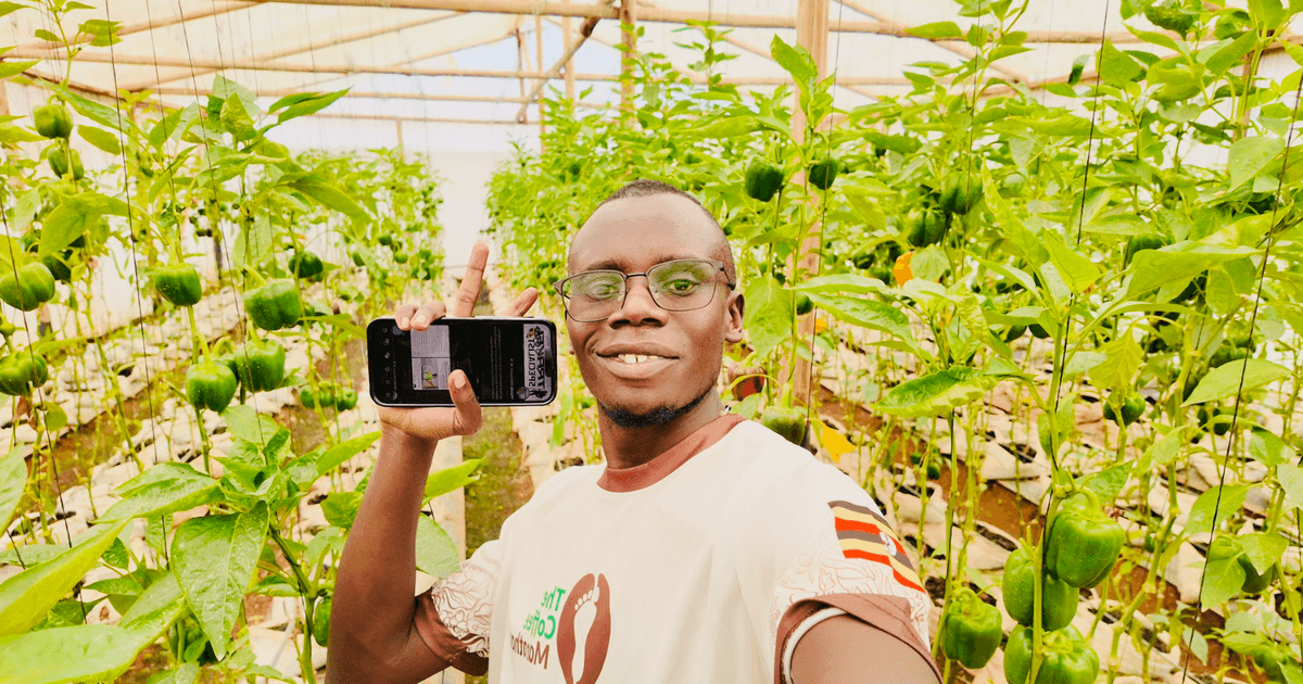 خدمات الهاتف المحمول تغير حياة الفقراء والمزارعين في أفريقيا وتسهم في النمو.