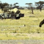 ملف البوليساريو يتجدد في الكونغرس الأميركي ضمن ملف الإرهاب في إفريقيا.