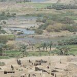 توفيت طفلة أربعة أعوام إثر لدغة عقرب في منطقة المناصير.