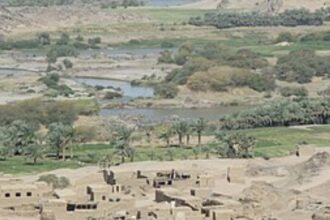 توفيت طفلة أربعة أعوام إثر لدغة عقرب في منطقة المناصير.