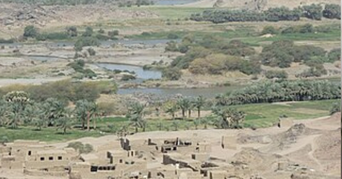 توفيت طفلة أربعة أعوام إثر لدغة عقرب في منطقة المناصير.