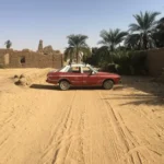 تحذير عاجل لسكان قرية سركمتو من انتشار العقارب