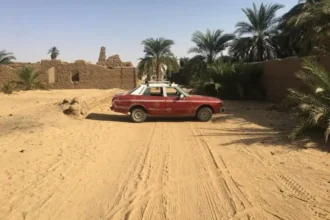 تحذير عاجل لسكان قرية سركمتو من انتشار العقارب