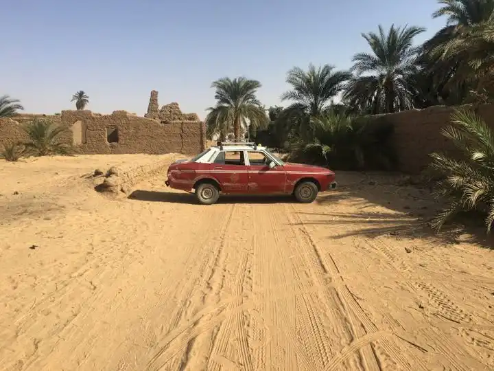 تحذير عاجل لسكان قرية سركمتو من انتشار العقارب