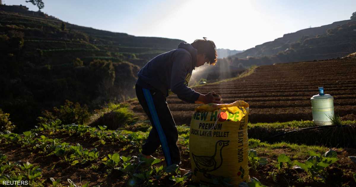 نقص الأسمدة يهدد أمن الغذائي لـ مليار أفريقي بفعل صدمات سعرية وتعثر سلاسل التوريد