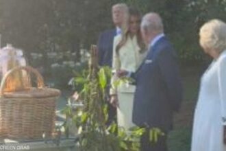 الملك والملكة يستقبلان ترامب في واشنطن ويطلعان على خلايا النحل بالبيت الأبيض