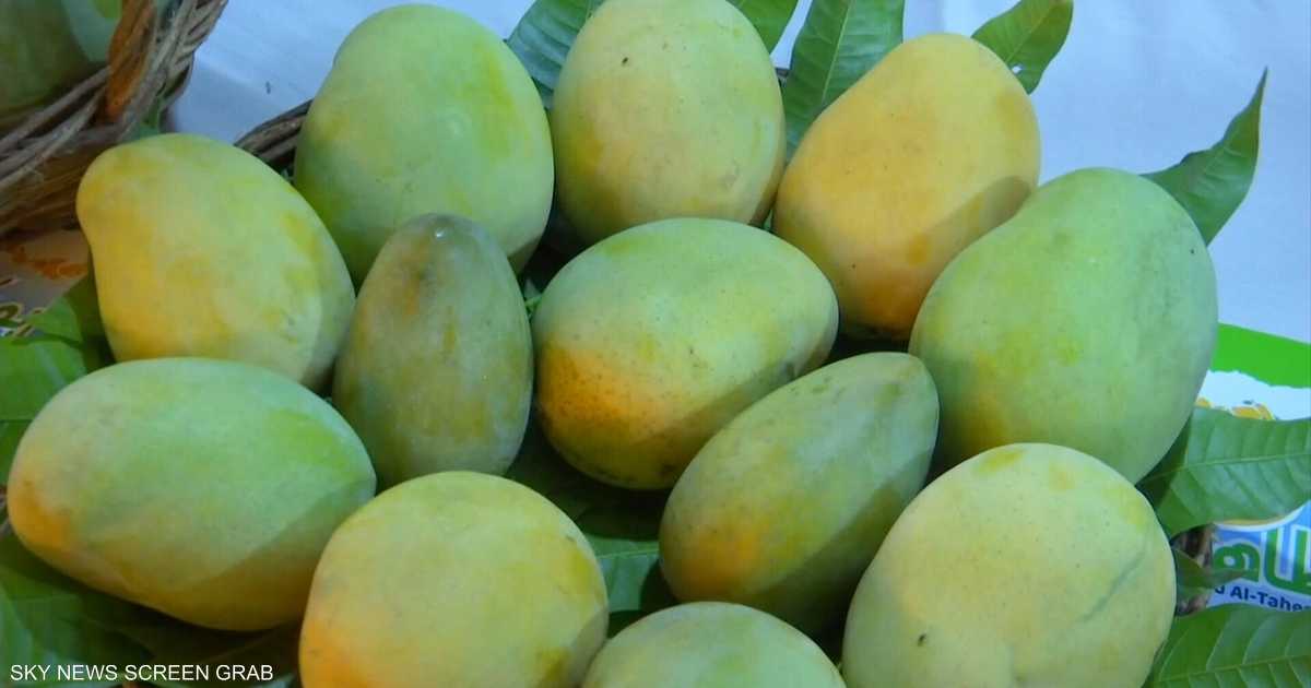 تناول الأفوكادو والمانجو يوميا يحسن وظائف الأوعية الدموية.