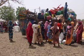 الدمازين تحت وطأة كارثة إنسانية: شبكة أطباء السودان تحذر من تفاقم معاناة النازحين وتناشد العون الدولي.