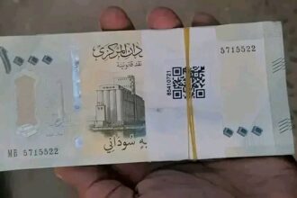 ديوان الخدمة المدنية يبدأ تنفيذ قرار تحسين أجور العاملين بالدولة السودانية في مارس 2026.