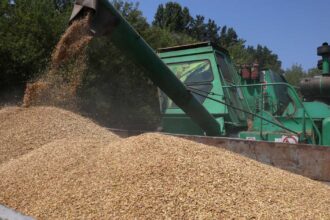 سفينة الحبوب الأوكرانية تغادر مياه إسرائيلية بعد جهود أمنية أوكرانية