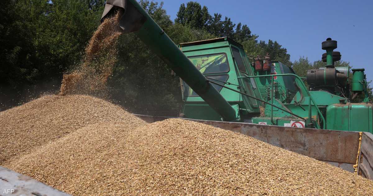 سفينة الحبوب الأوكرانية تغادر مياه إسرائيلية بعد جهود أمنية أوكرانية