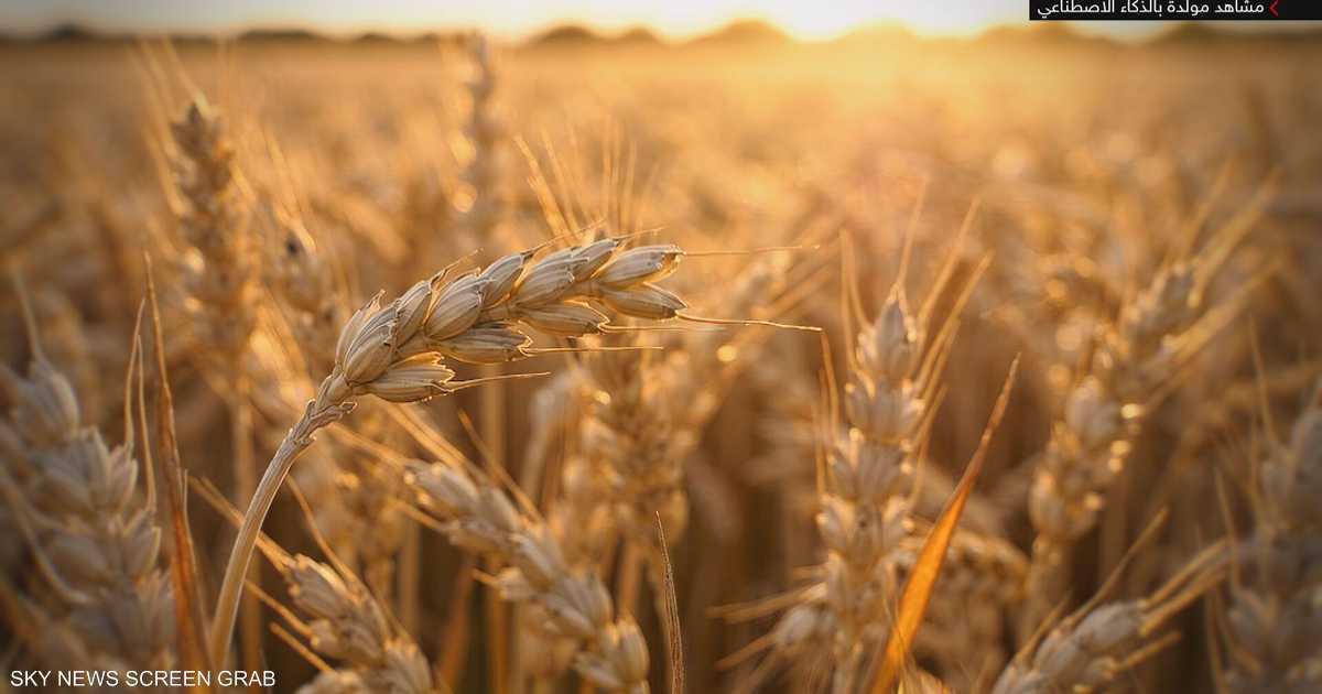 القمح يواجه أزمات الألماس في مناطق النزاع العالمية