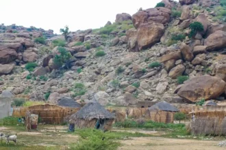 إطلاق نار كثيف يثير قلقاً شديداً في قرية الفاو بولاية القضارف