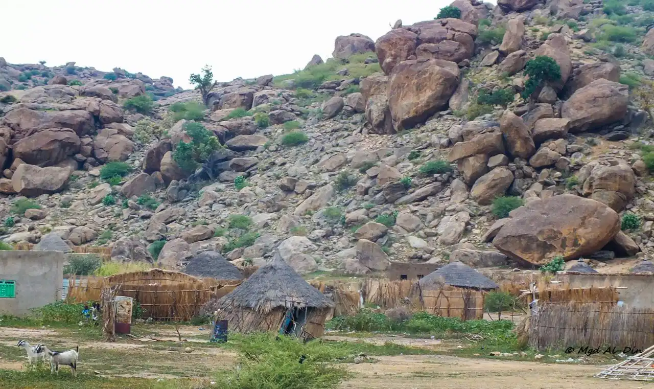 إطلاق نار كثيف يثير قلقاً شديداً في قرية الفاو بولاية القضارف