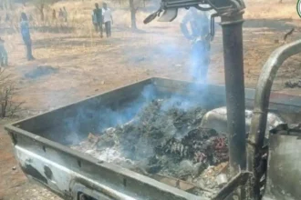 الجيش السوداني يصد هجمات متتالية على سالي في النيل الأزرق ويستعيد أسلحة وعتاداً