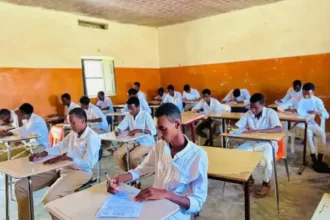 الجالية السودانية بأسوان تطلب تغيير القنصل العام بعد إنهاء تعاونها مع القنصلية.