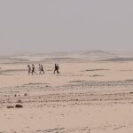 مرحلون من مصر يثيرون الفوضى في وادي حلفا ومواطنون يوجهون نداءً عاجلًا