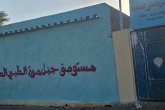 عبدالواحد نور ينقل مصابي قصف جوي على نيالا للعلاج في جبل مرة