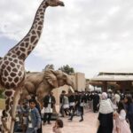 عودة طال انتظارها.. حكاية مكان استيقظ من النسيان في طرابلس