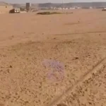 تحذير عن مستجدات ووضع أمني خطير في وادي حلفا ودعوة لليقظة والاحتراز