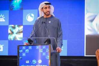 الإمارات: تعطيل الممرات البحرية ابتزاز اقتصادي وقرصنة مرفوضة