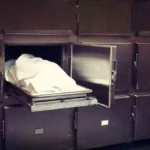 سرقة “جثث المشرحة” في جامعة الجزيرة