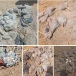 كارثة في وادي حلفا والخيوط تقود إلى جهة نافذة