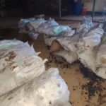 تفاصيل ضبط “نحاس” السودان في شندي