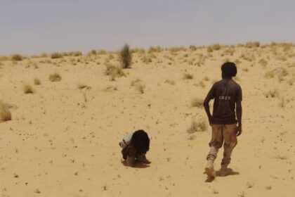 مصير مجهول لـ”النور القبة” بعد اشتباكات عنيفة مع الدعم السريع في الصحراء