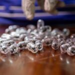 كينيا.. السجن والغرامة لرجل صيني حاول تهريب آلاف النمل