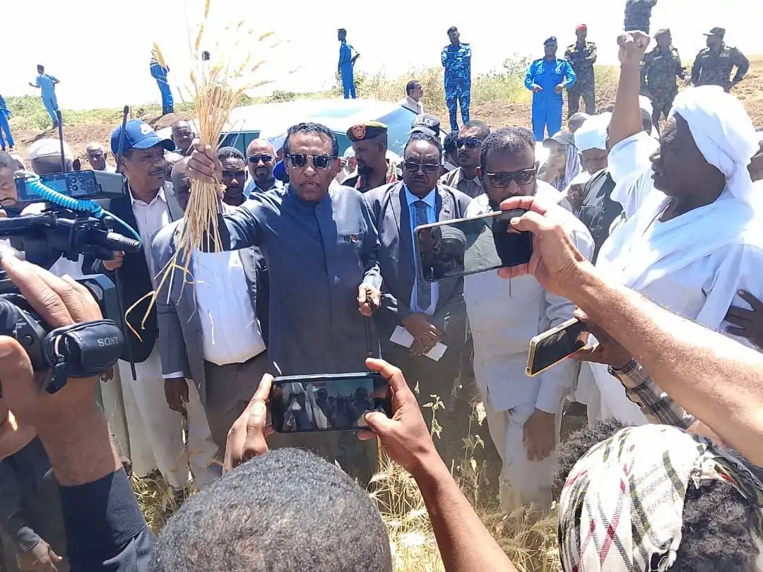رئيس الوزراء يدشن حصاد القمح بمشروع الجزيرة بإنتاجية 23 جوال للفدان