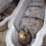 كشف مقبرة رومانية نادرة في مصر.. وألسنة ذهبية