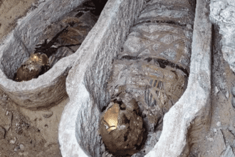 كشف مقبرة رومانية نادرة في مصر.. وألسنة ذهبية