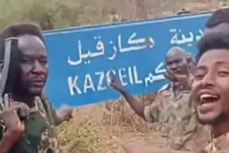 الجيش السوداني يستعيد السيطرة على 5 مناطق في كردفان