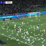 بالفيديو.. أسراب الطيور تغزو مباراة كرة قدم في "مشهد جنوني"