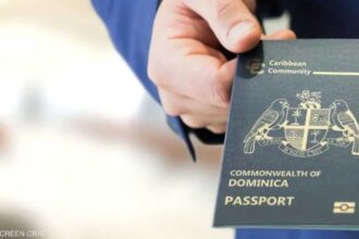 خاصإيران في الخارج.. كيف يدير أبناء "الأغازاده" الثروة المهربة؟