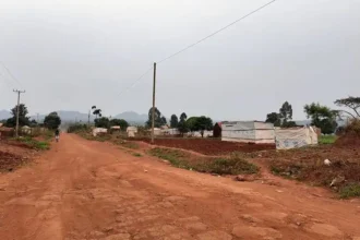 600 ألف حكاية وجع.. صبر السودانيين في أطول رحلة لجوء داخل مخيم كرياندونقو