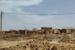 لجنة أمن شرق النيل تزيل 723 منزلاً عشوائياً وتضبط أسلحة ومنهوبات في حملة أمنية واسعة.