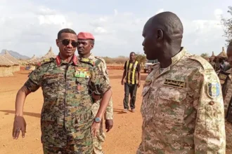 الجيش السوداني يستعيد محطة خور حسن جنوب الكرمك في النيل الأزرق.