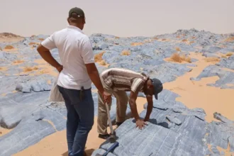 الهيئة العامة للأبحاث الجيولوجية تبدأ تقييم خام الرخام في منطقة دال بالولاية الشمالية.