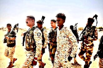 جريمة نكراء جديدة من ميليشيا ال دقلو الإرهابية بحق دار حامد في غرب بارا.