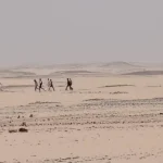 مخاوف أمنية في وادي حلفا من مرحلين مرتدين ملابس سجون مصرية.