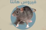 حالات وفاة بفيروس هانتا على سفينة سياحية عبر الأطلسي