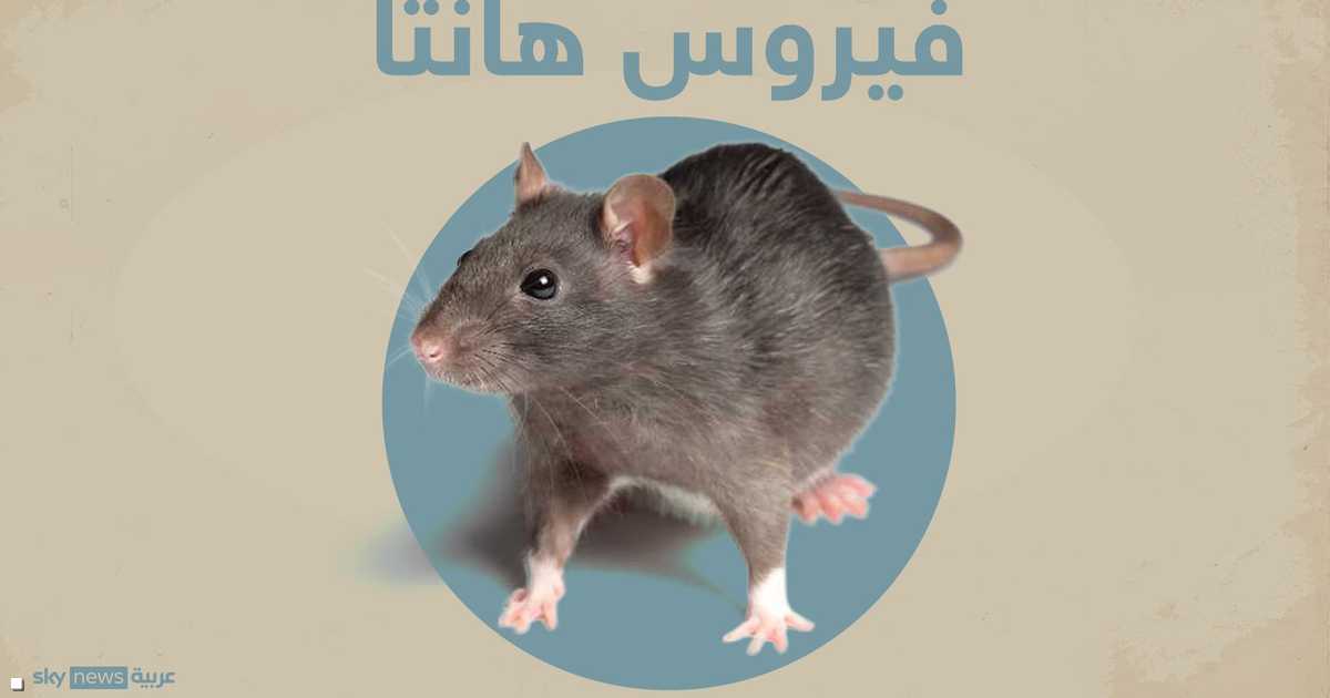 حالات وفاة بفيروس هانتا على سفينة سياحية عبر الأطلسي