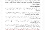 الهيئة السودانية للأمن السيبراني تؤكد أمان منصة الهوية الرقمية الوطنية سوداباس.